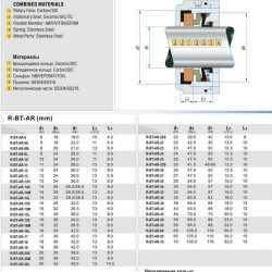 Сальник (торцевое уплотнение) R-BT-AR 12, SIC/SIC, VITON, 304