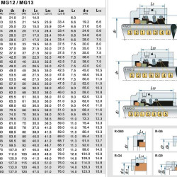 Уплотнение вала насоса R-MG1 40, SIC/SIC, VITON, 304, G60