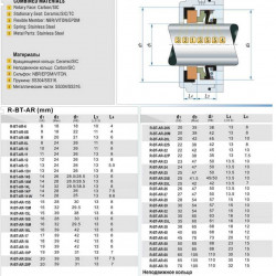 Сальник (торцевое уплотнение) R-BT-AR 12, SIC/SIC, VITON, 304